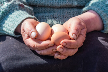 close-up. An elderly woman with dirty nails holds three chicken eggs in her hands