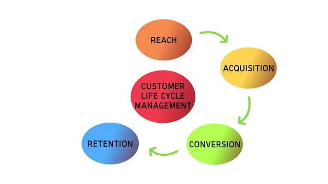 Customer Lifecycle Management Diagram Cycle Animation on White Background and Green Screen
