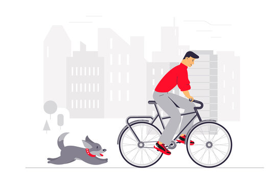 A man on a bicycle with a Pembroke Welsh Corgi rides through the city. The concept of outdoor activities and animal care. Vector illustration. Flat style..