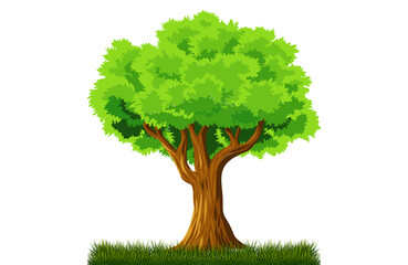 green tree and grass necessary for   fresh environmental