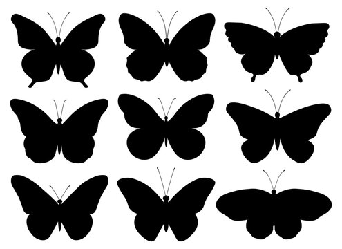 Set butterflies silhouettes vector illustration	