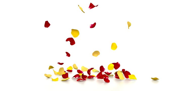 Yellow and red rose petals fall beautifully on the reflective white floor