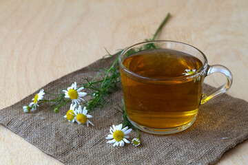 cup of herbal tea.mug of chamomile tea on sackcloth. glass cup of hot Herbal chamomile tea on a wooden table with copy space with fresh flowers and green leaves on light background. hot drinks.