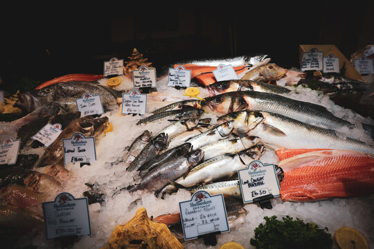 Fresh fish on the ice at the London`s Borough Market