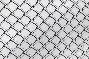 Fence cage Rabitz covered old gray wall