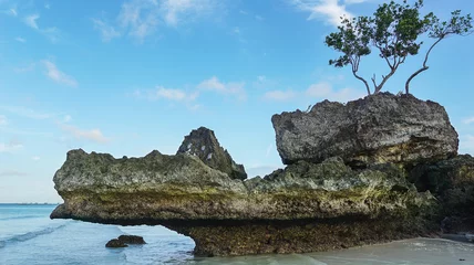 Fotobehang Boracay Wit Strand Beroemde rots van krokodilvorm op kustlijn van Boracay-eiland in Filippijnen van ongebruikelijke kant. Wit strand op Boracay, herkenbaar zeegezicht, reizend concept
