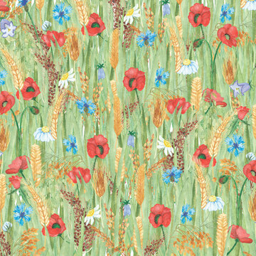 Watercolor hand painted nature floral field background texture with red poppy, white chamomile, blue cornflowers and golden brown rye ear cereals on green grass composition