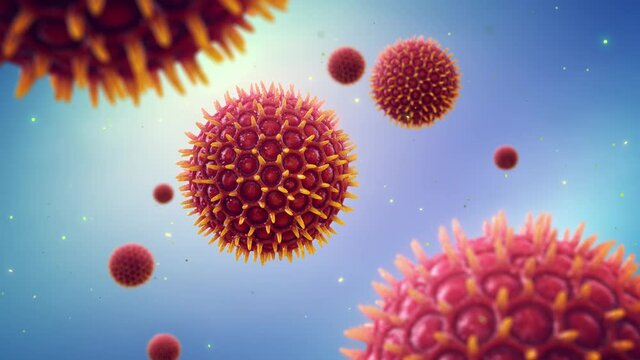 Animation of microscopic pollen grains. Pollen allergy is also known as hay fever or allergic rhinitis.
