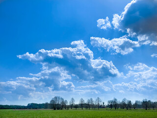 Blue sky. Spring