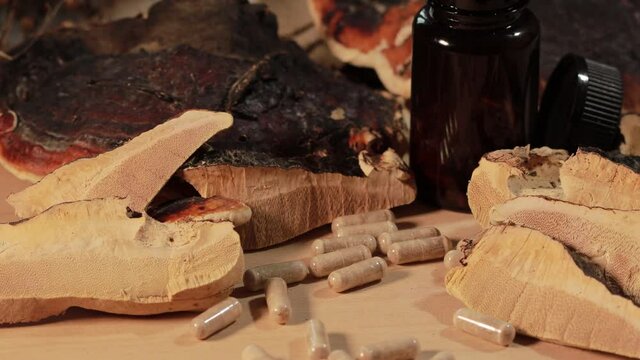 Ganoderma lucidum capsules with dark bottle  with sliced Ganoderma Lucidum mushroom (also called as Reishi mushroom or Lingzhi mushroom) on wooden background. Chinese herbal medicine