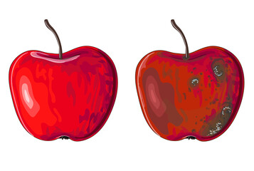 Set of two apples in cartoon style. One apple is red and beautiful, and the other is rotten. Drawing isolated on a white background. Stock vector illustration.