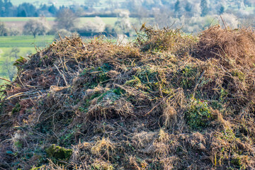 Grünschnitt Deponie im Frühjahr