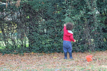 little child playing in the park