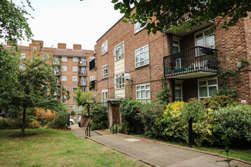 Wonderful brick houses with green yard and plants decorating the walls and garden in London city, UK