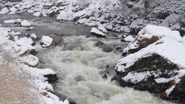 rapids of a mountain river in a heavy springtime snowstorm - Poudre River in Rocky Mountains of northern Colorado 