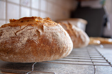 home-made bread wheat rye sourdough oven
