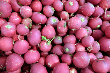 Still life with crop of many ripe red redishes as background top view close up