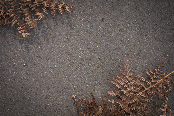 Abstract natural background. Dead leaves on the asphalt surface. Close-up of the nature elements. Free space for text.