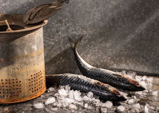 Whole Mackerel with metal strainer and on ice