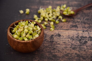 Bowl of Mung bean sprouts on wooden background