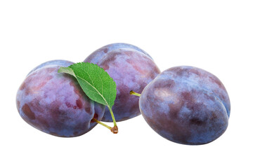 Plums isolated on white background with clipping path