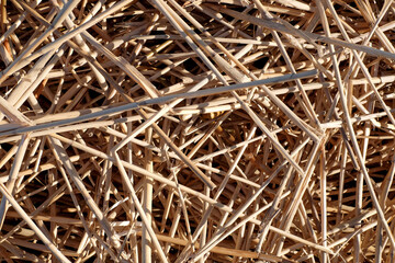 Straw abstract background texture close-up with sunlight
