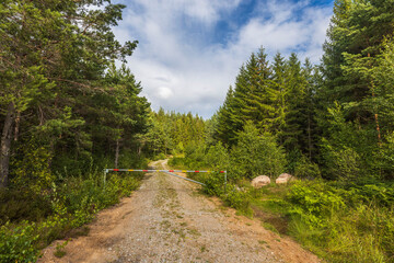 Fototapeta na wymiar Beautiful nature landscape view. Road barrier on gravel road. Green trees and blue sky with white clouds background. Sweden. 