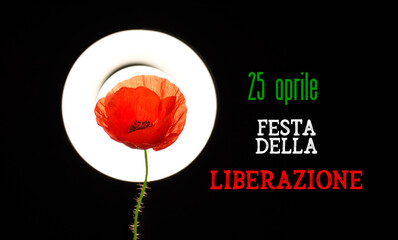  fresh red poppy flower on black background and April 25 Liberation Day text in italian national holiday card, patriotic background flag of Italy