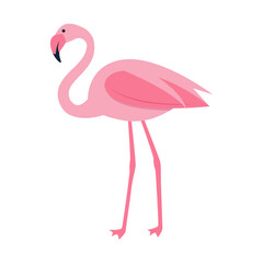 Pink flamingo. Isolated on a white background. Vector illustration