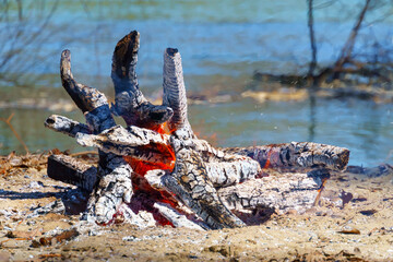 bonfire burning on the river bank, bright sunny day, beautiful nature, travel, hiking and camping concept