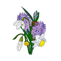 Daffodils, hyacinth and snowdrops bouquet. Spring, floral design for cards, invitations, packaging