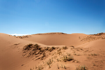 Fototapeta na wymiar Un día en el desierto