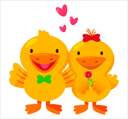 Cute happy couple of ducks in love. Colourful vector illustration, cartoon style