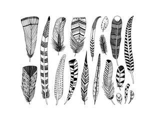 Rustic decorative feathers vector collection. Hand drawn black tribal bird feathers. Ink illustration isolated on white background. Ethnic boho style hand drawing. Outlined graphic ornament.