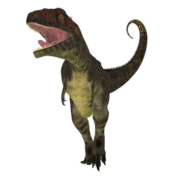 Mapusaurus Dinosaur Aggression - Mapusaurus was a carnivorous theropod dinosaur that lived in Argentina during the Cretaceous Period.
