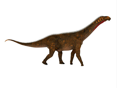 Mierasaurus Dinosaur Full Length - Mierasaurus was a herbivorous sauropod dinosaur that lived in Utah, USA during the Cretaceous Period.