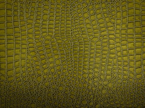 olive green snakeskin pattern and texture