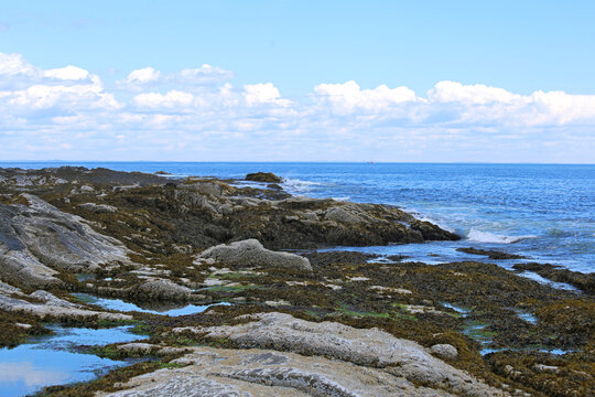 Sea shore rocks with barnacles, seaweed, tide pools, waves and open ocean on the horizon