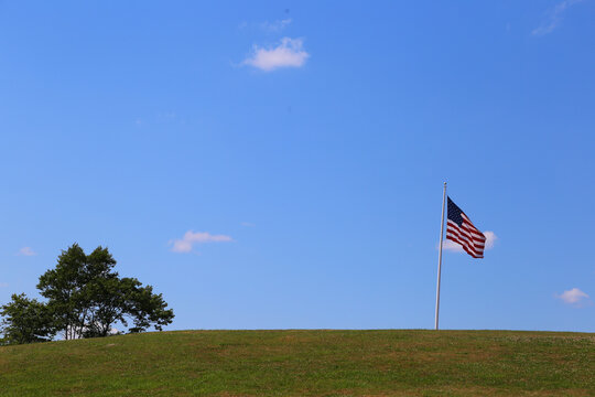 Generic green grassy hill bottom third with blue sky, single tree, and an American flag with copy space
