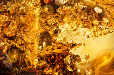 Natural amber texture in detail. Transparent vintage fossilized tree resin abstract background. Red...