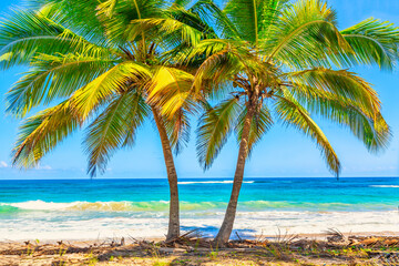 Vacation travel background. Palm trees on the wild tropical beach in Dominican Republic.