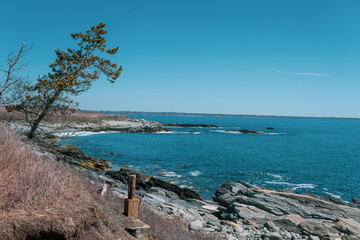 Fototapeta na wymiar East coast beach landscape photography. Rocky shoreline with overhanging tree on New England beach