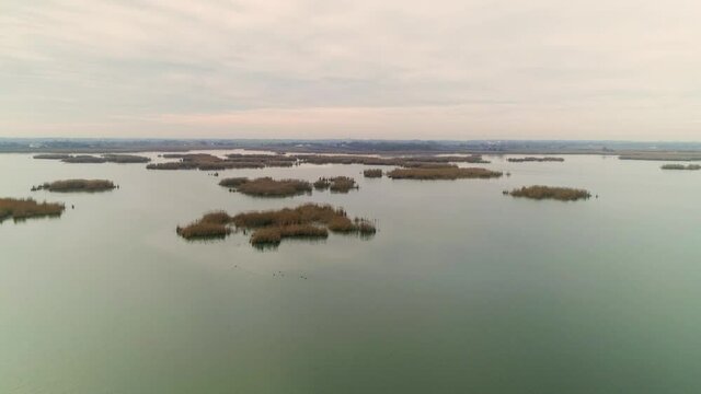 Aerial drone shot of untouched nature in Serbia, at dawn. Reed, bulrush islands.