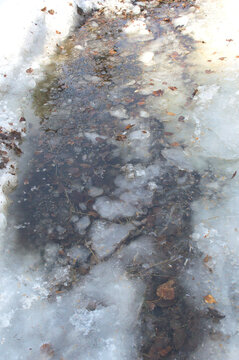 melting ice and snow on ground 