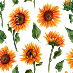 Pattern with sunflowers in watercolor