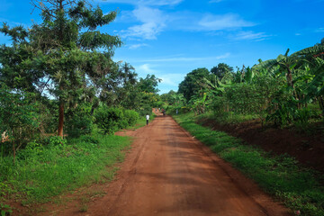 Fototapeta na wymiar Views of rural region of Masaka, Uganda