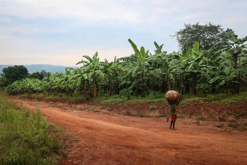Masaka rural area view with unknown locals and countryside landscape, Uganda