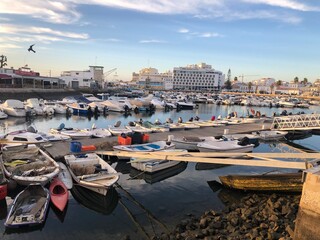 Fish Port in Faro, Algarve, Portugal