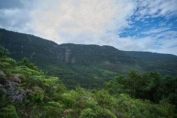 Fototapeta na wymiar Vista de la catarata Chinata en el bosque de nuebes de Cuispes, Chachapoyas, Perú.