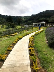 jardin con camino lleno de flores y plantas